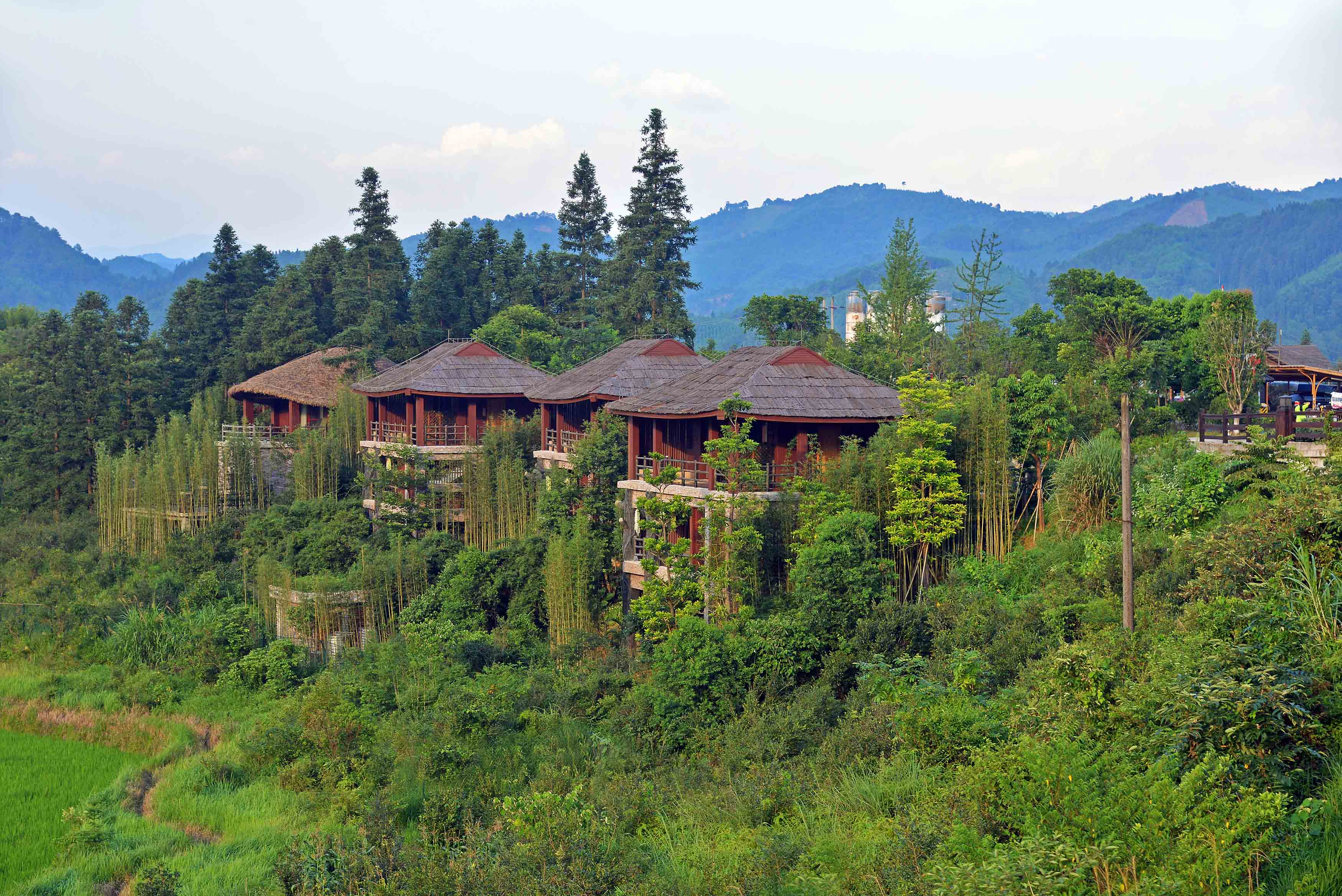 四川康養(yǎng)旅游走在全國(guó)前列，是怎么做的？.jpg